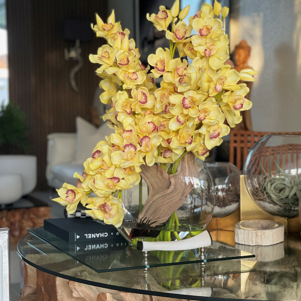 Cymbidiums Amarelos em Vaso Lunar